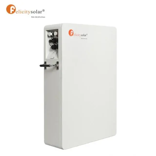 48V 100AH Felicity Lithium Battery (5KWH)2.webp