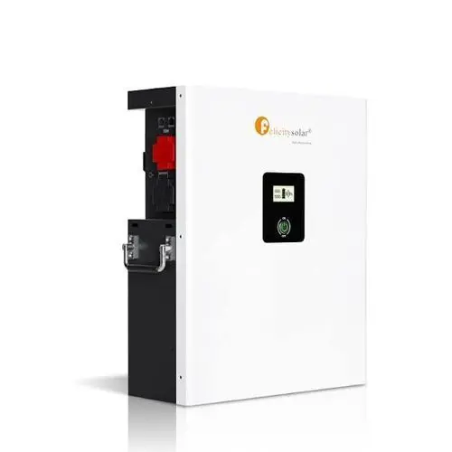 48V 100AH Felicity Lithium Battery